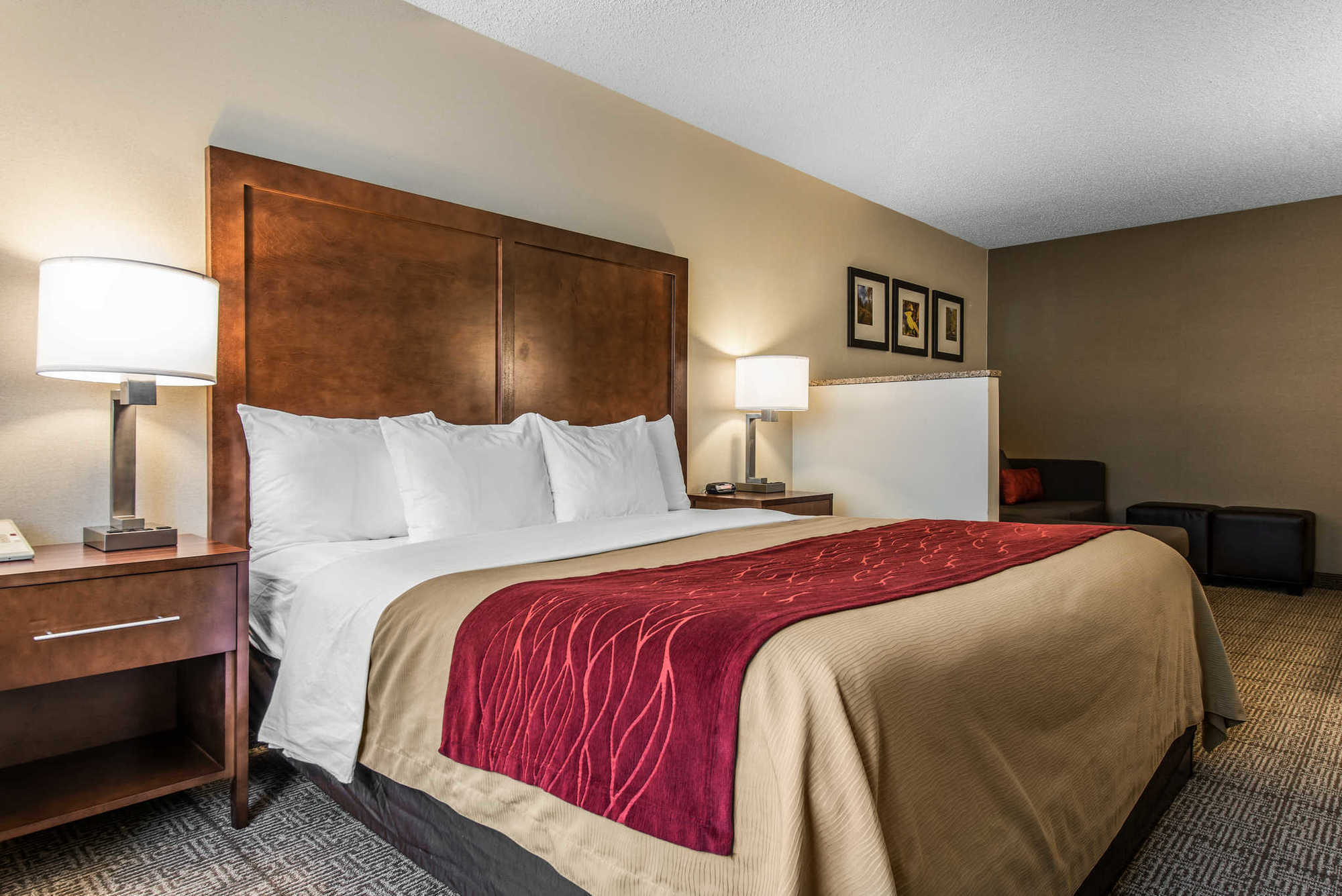 Comfort Inn Denver West Arvada Station Wheat Ridge Cameră foto